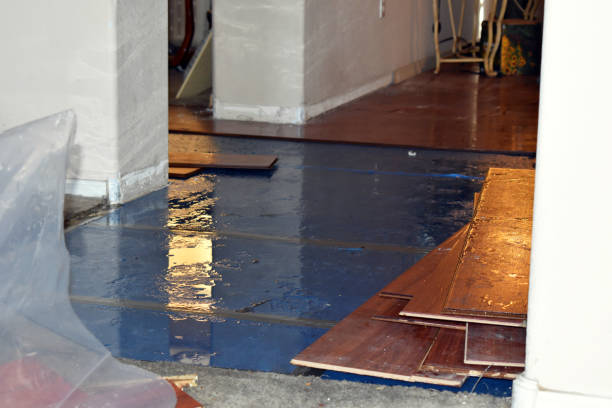 Professional Sewage Cleanup technician working in Danville, AR